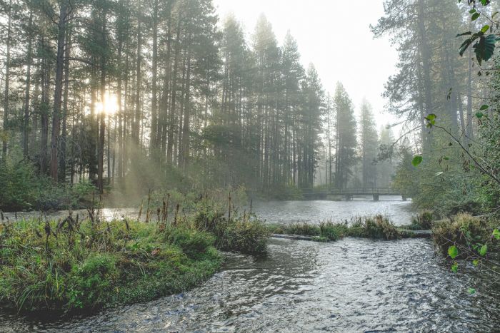 Cold Springs Resort — Camp Sherman, OR